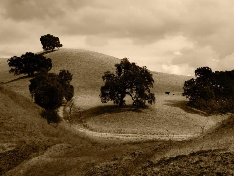 sudoku difficulty levels screenshot 1